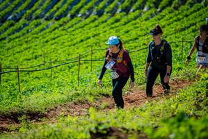 BIB: 
                            <button type="button" onclick="openModal(19161827)" class="btn btn-primary btn-sm float-right btn-popup" data-toggle="modal" data-target=".modal-high-quality">
                        <i class="fas fa-shopping-cart"></i> Add to Cart
                    </button>
                                            <button type="button" onclick="isThisMe(19161827, true)" class="btn btn-success btn-sm float-right btn-popup btn-isme hidden" data-toggle="tooltip" data-placement="bottom" title="นี่คือรูปของคุณใช่ไหม คลิกที่นี่เพื่อเอาเข้าอัลบั้ม">
                        <i class="fas fa-plus"></i> Add to album
                    </button>
                    <button type="button" onclick="isThisMe(19161827, false)" class="btn btn-warning btn-sm float-right btn-popup btn-isnotme hidden">
                        <i class="fas fa-ban"></i> Remove from album
                    </button>